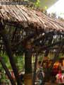 Toiture-cabane-en-branches-20120817185831.jpg