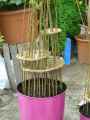 Tontine-en-osier-20130709141912.jpg