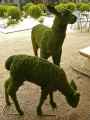 Topiaires-biches-en-mousse-20131020222001.jpg