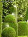 Topiaires-en-gazon-20120822173350.jpg