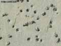 Trous-de-vers-de-sable-20120822211518.jpg