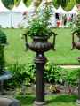 Vase-medicis-20120822190116.jpg