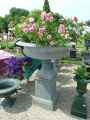 Vasque-20120822190252.jpg