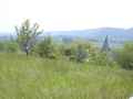 Verger-Normand-20131021003648.jpg