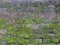 Vieux-mur-vermoulu-20131020215233.jpg