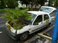 Voiture-jardiniere-20131020220134.jpg