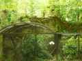 Voliere-et-mur-en-ruine-20120822165034.jpg