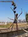 insectes-arthropodes-60.jpg