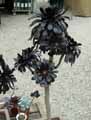 Aeonium arboreum atropurpureum Schwarzkopf